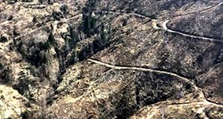 FOTO Pogledajte kako izgleda Medvednica. Hrvatske šume: "Nema devastacije"
