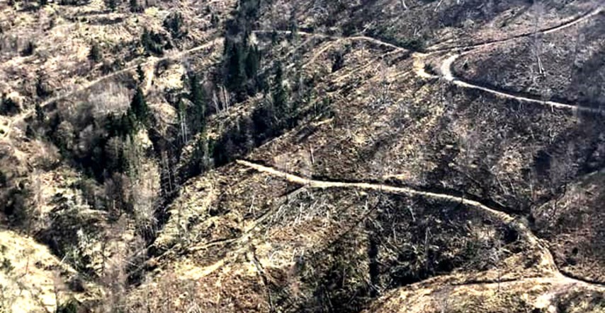 FOTO Pogledajte kako izgleda Medvednica. Hrvatske šume: "Nema devastacije"