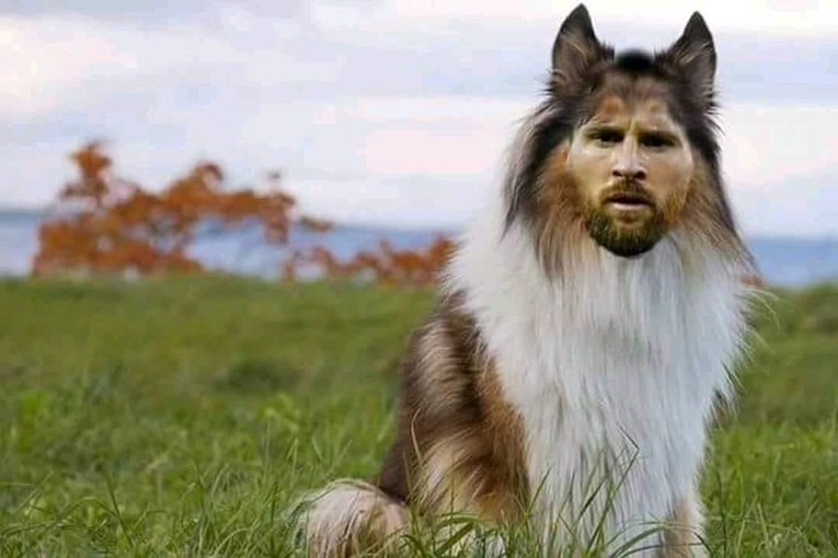 Messi se vraća kući i sve druge fore