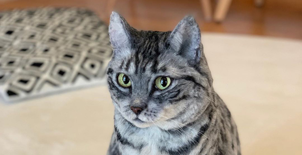 Vidite li nešto čudno na ovoj maci? Pogledajte malo bolje i primijetit ćete