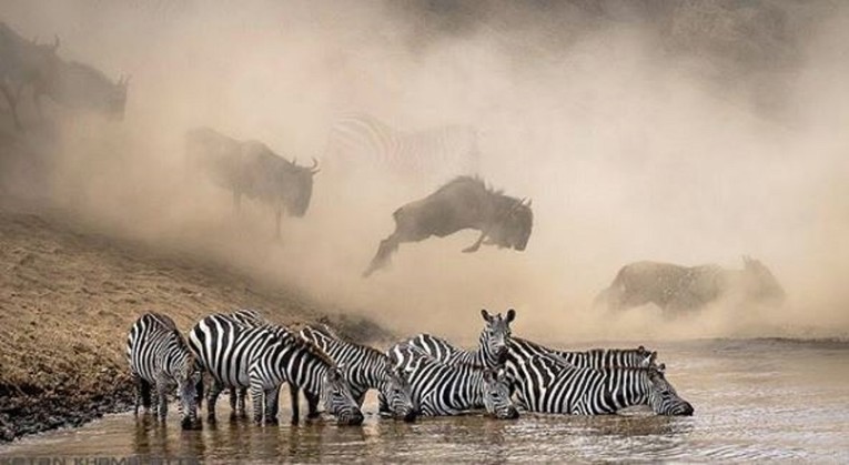 FOTO National Geographic objavio pobjedničke fotke svog natječaja, vrhunske su