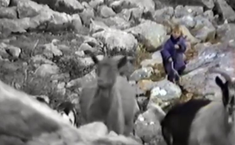 Pogledajte snimku petogodišnjeg Luke Modrića kako čuva koze na Velebitu