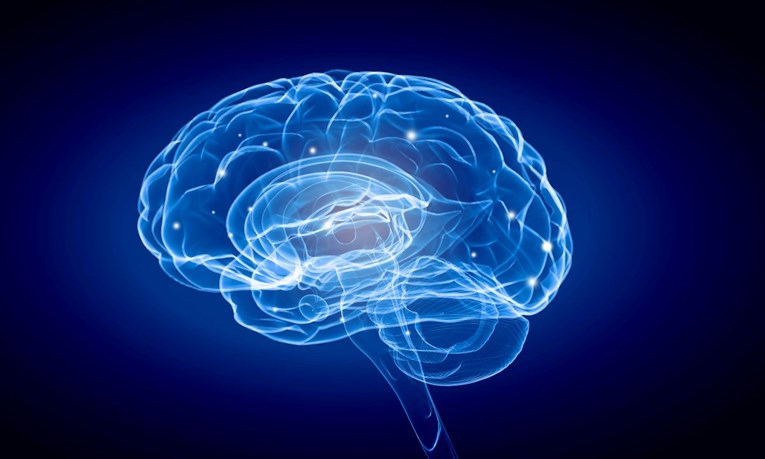Mozak nam je posebno osjetljiv na traume u dva životna razdoblja