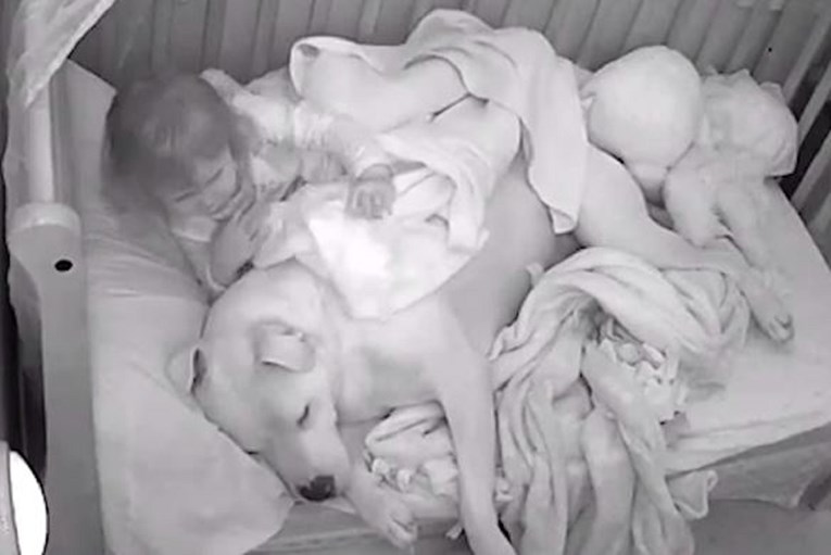 Stavili baby kameru curici u sobu, snimila preslatku scenu sa psom u krevetu