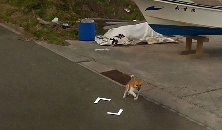 Pas uočio Googleov street car, trčao za njim pa postao hit na internetu