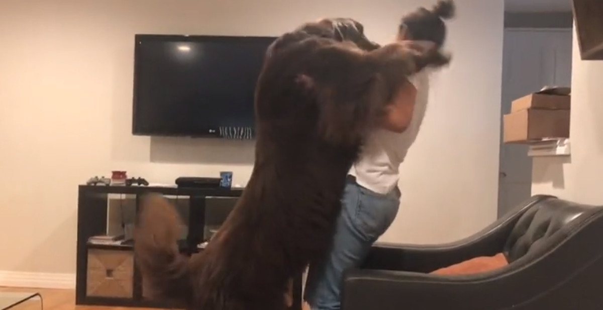 VIDEO Nakon što je izgovorila jednu rečenicu, veliki pesonja srušio ju je na kauč