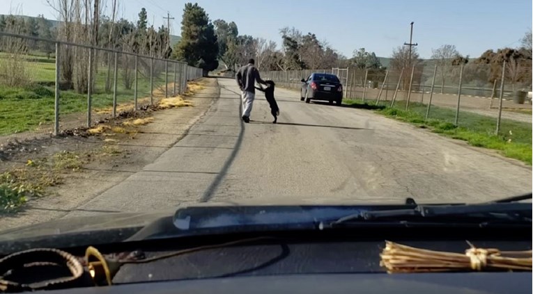 Nije mogao vjerovati što snima: Tip ostavio psa, on se pokušavao vratiti u auto
