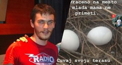 Srpski gitarist objavio što je učinio golubici koja mu dolazi na balkon pa ga izbacili iz benda