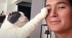 VIDEO Ova maca moli za pažnju na najslađi način