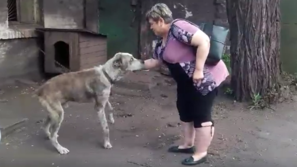 Prije dvije godine oteli su joj psa, njihov susret mogao bi vas rasplakati