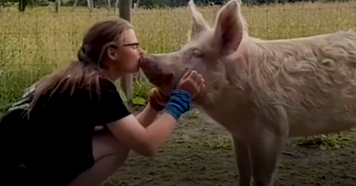 Možda će nekima biti čudno, no i ove životinje vole i trebaju ljubav