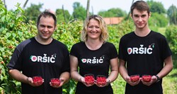 Najslađi biznis: Ova obitelj godišnje proizvede 40 tona bobičastog voća