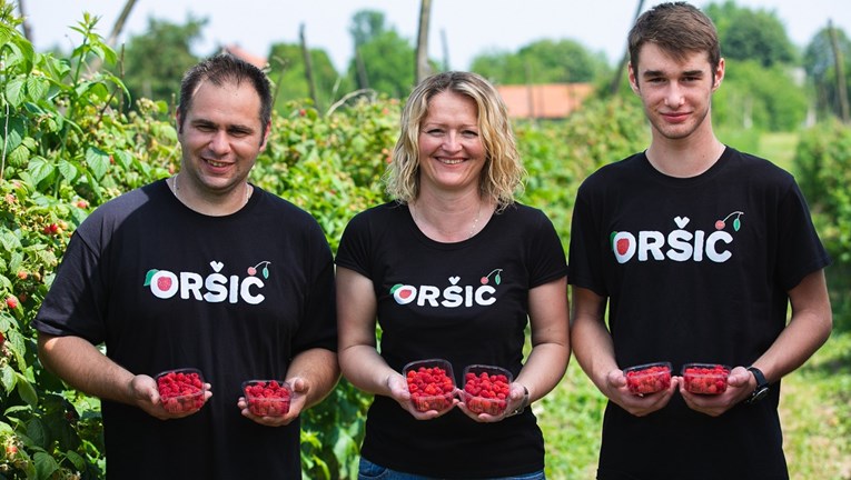 Najslađi biznis: Ova obitelj godišnje proizvede 40 tona bobičastog voća