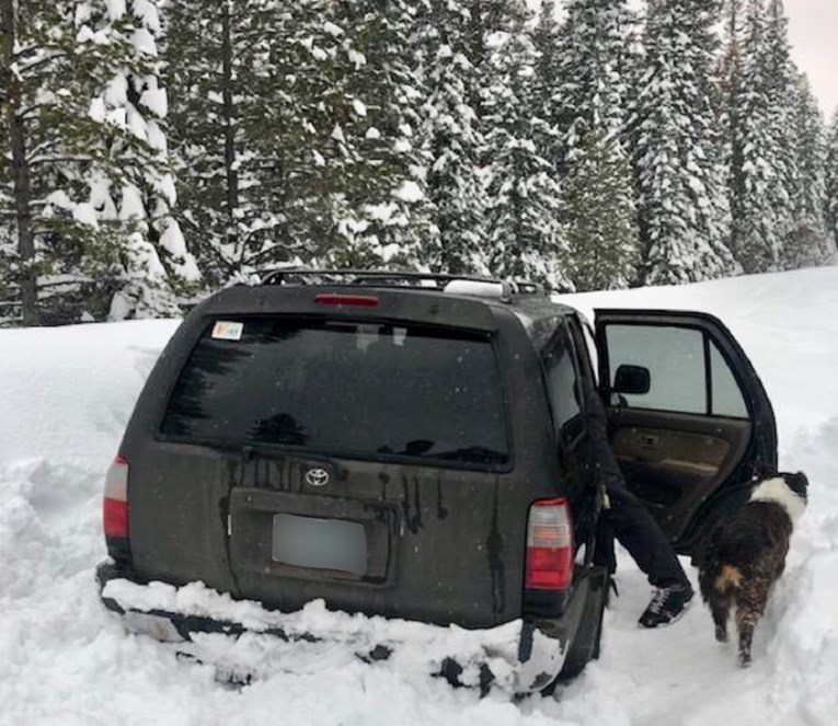 U Oregonu snijeg zatrpao auto, muškarac i pas preživjeli zahvaljujući taco umaku