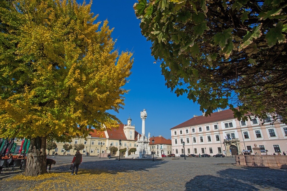 Malim i mikro poduzetnicima u Osječko-baranjskoj županiji bespovratna sredstva