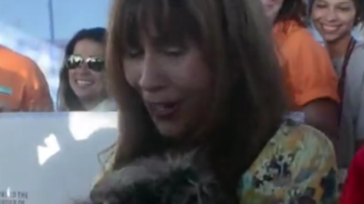 Novi najružniji pas na svijetu zapravo je presladak... Na svoj način