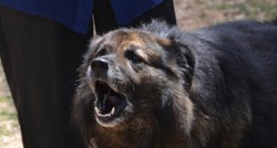 Gradonačelnik u Francuskoj zabranio psima da preglasno laju