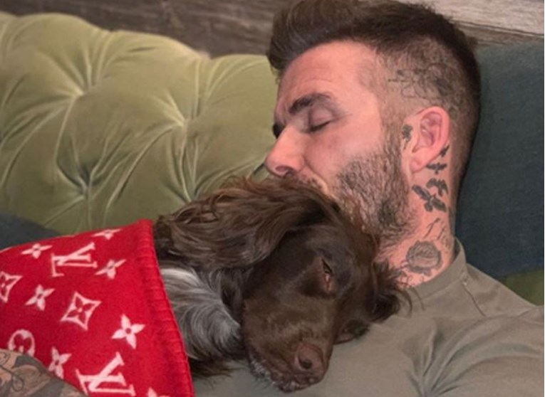 Beckham zaspao sa psom, detalj na fotki posvađao fanove: "Kakvi sebični ljudi"