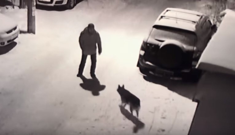 VIDEO Pijani kreten bez razloga htio šutnuti psa, karma ga stigla iste sekunde