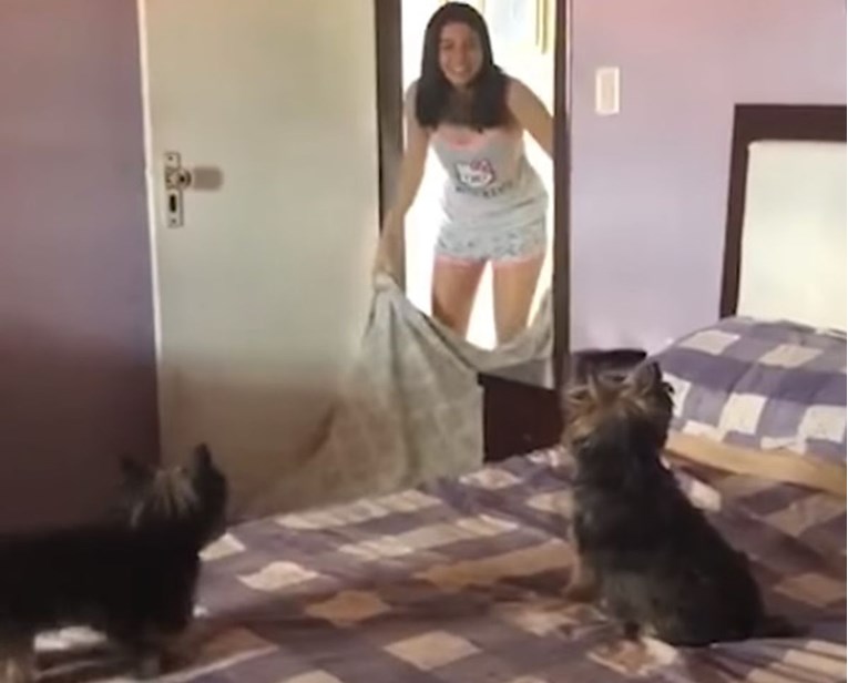 VIDEO Šala s napaljenim psima otišla je u skroz krivom smjeru