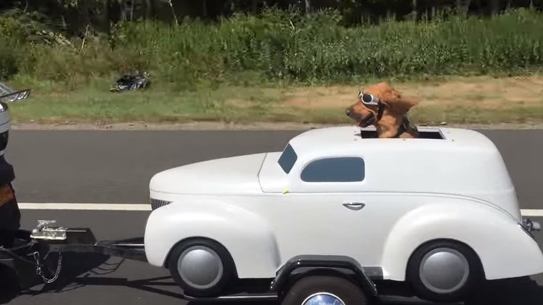 VIDEO Na autocesti ugledali su psića koji je plijenio pažnju svih vozača