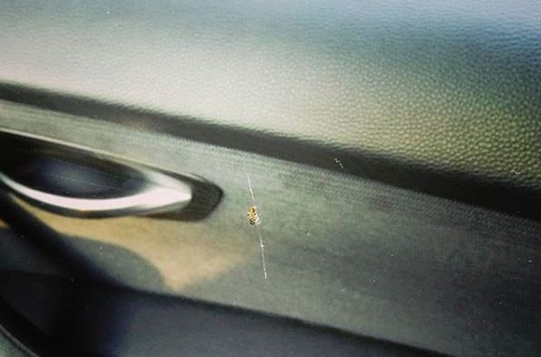 Iskočila iz vozila u pokretu nakon što je vidjela da joj je pauk skočio u krilo