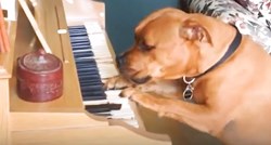 VIDEO Dovoljna je samo jedna riječ i ovaj pesonja pokazat će svoje umijeće sviranja klavira