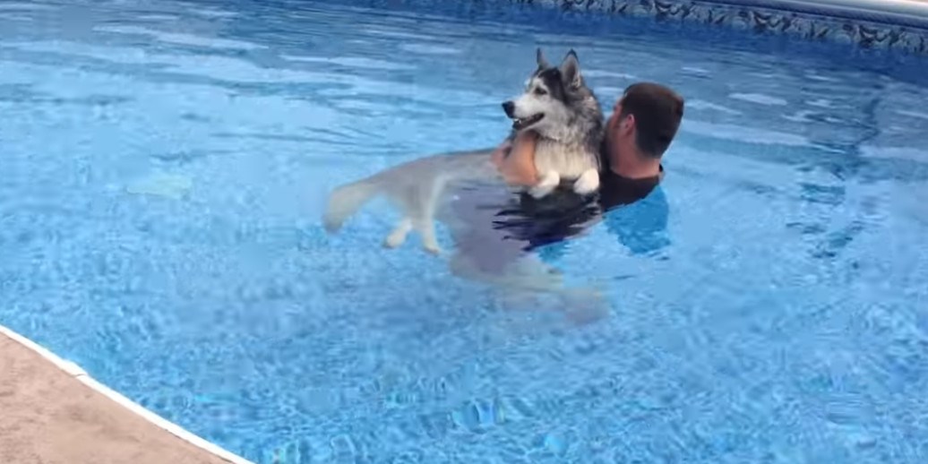 Razlog zbog kojeg je ovaj čovjek stalno plivao sa psom slomit će vam srce