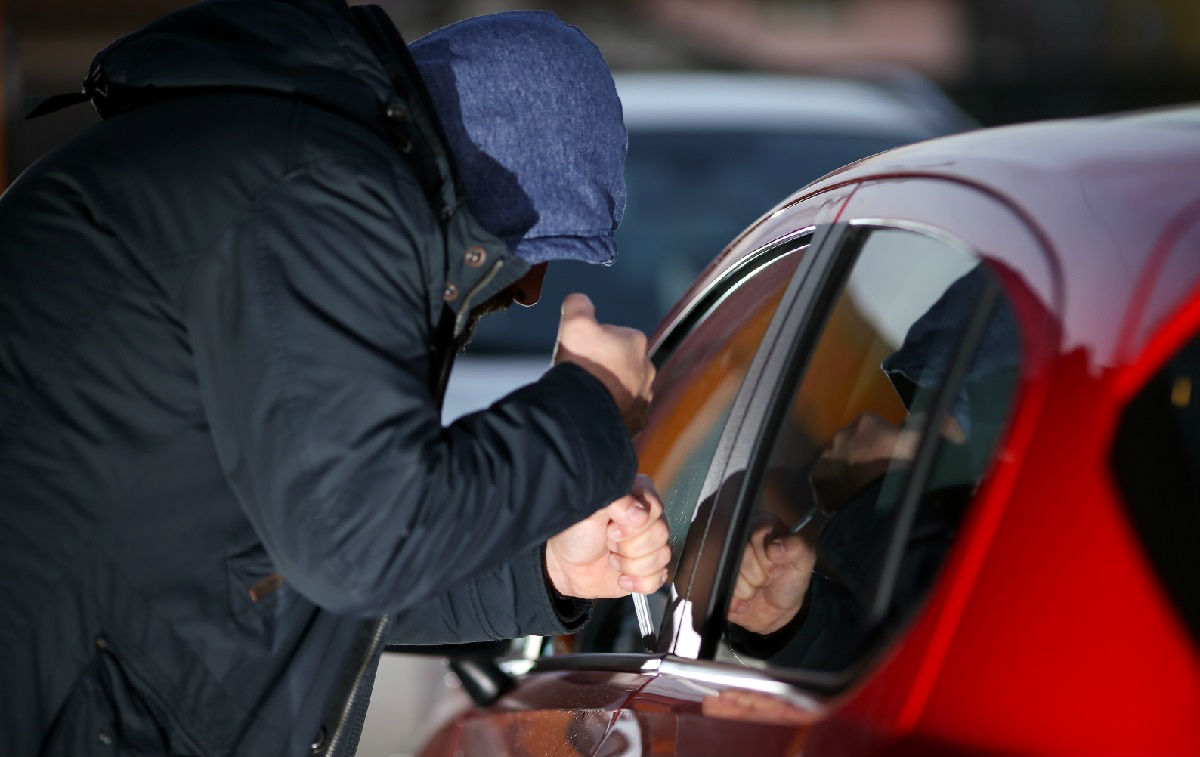 Zadarska policija ulovila serijskog lopova. Krao je janjad, telad, ležaljke...