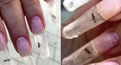 Snimka zarobljenih mrava u umjetnim noktima izazvala bijes na internetu