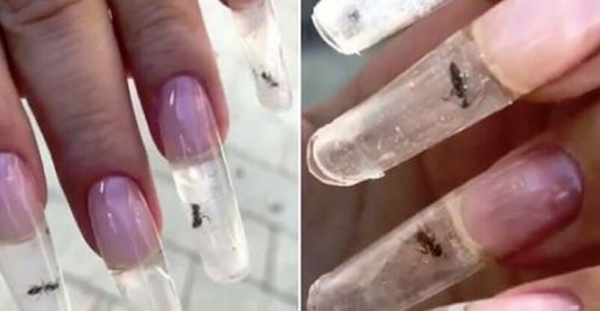 Snimka zarobljenih mrava u umjetnim noktima izazvala bijes na internetu