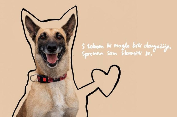 Izradite personaliziranu zdjelicu za ljubimca i pomozite napuštenim psima