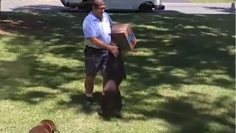 VIDEO Kada osjeti da dolazi njegov najdraži poštar, ovaj pas poludi od sreće