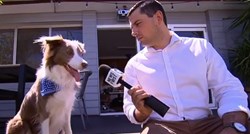 Postavio psu pitanje u vijestima, a njegova reakcija postala je hit na internetu