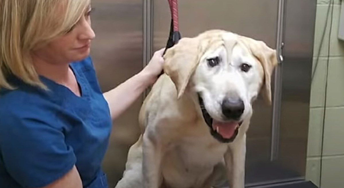 VIDEO Nitko ga nije htio jer je ružan, a ova mu je žena spasila život