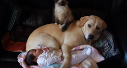Maca i pas čuvali bebu, a ona im odlučila "zahvaliti" puštanjem vjetra