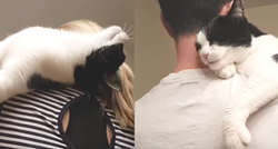 Dva načina na koje mačka pokazuje ljubav prikazana u predivnom videu