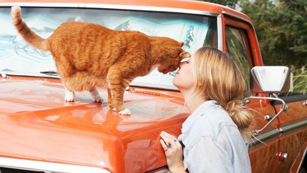 Znanstvenici otkrili kakvi ljudi pričaju sa svojim ljubimcima i životinjama