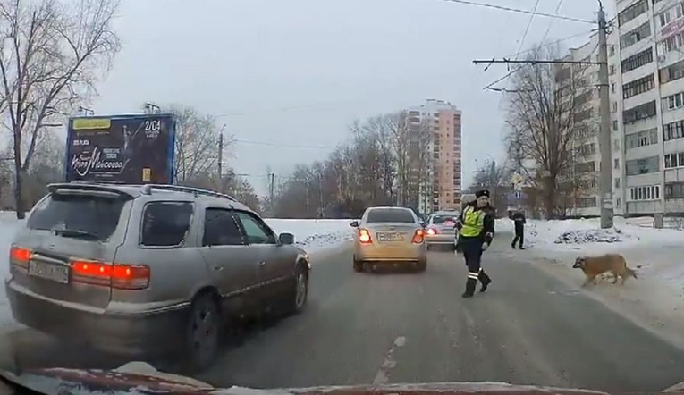 Pas strpljivo čekao da policajac zaustavi promet da može mirno prijeći cestu