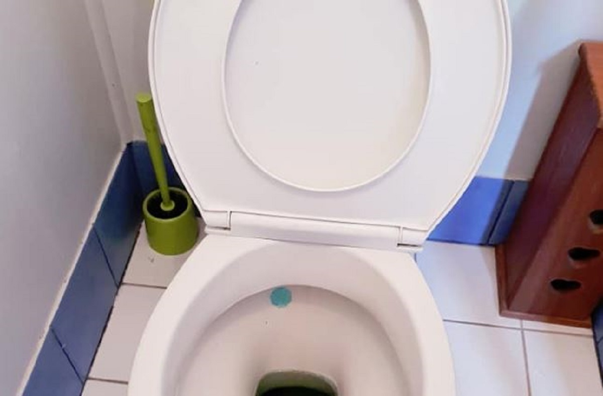 Krenuo na WC, pa u školjci pronašao nešto zbog čega se uplašio za život