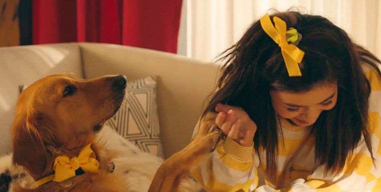 Ovaj emotivni video dokazuje da su psi tu kada nitko drugi nije