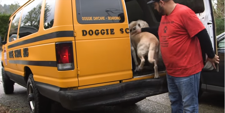 Otvorio je školu za pse i svakog jutra ima pseći školski bus prepun pasa đaka