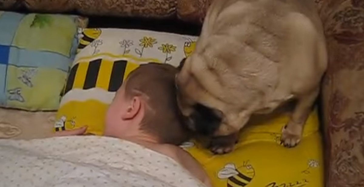 VIDEO Ovaj dječak ima najslađe buđenje na svijetu