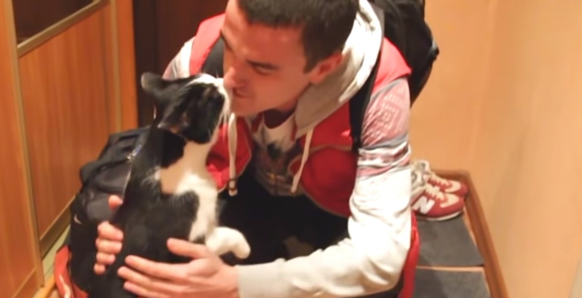 Jesu li vam vaše mačke privržene i pate li za vama nakon što odete iz doma?