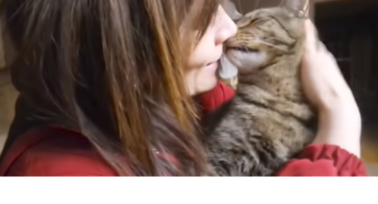 Predivna reakcija  mačka koji mjesec dana nije vidio svoju slijepu prijateljicu