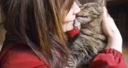 Predivna reakcija  mačka koji mjesec dana nije vidio svoju slijepu prijateljicu