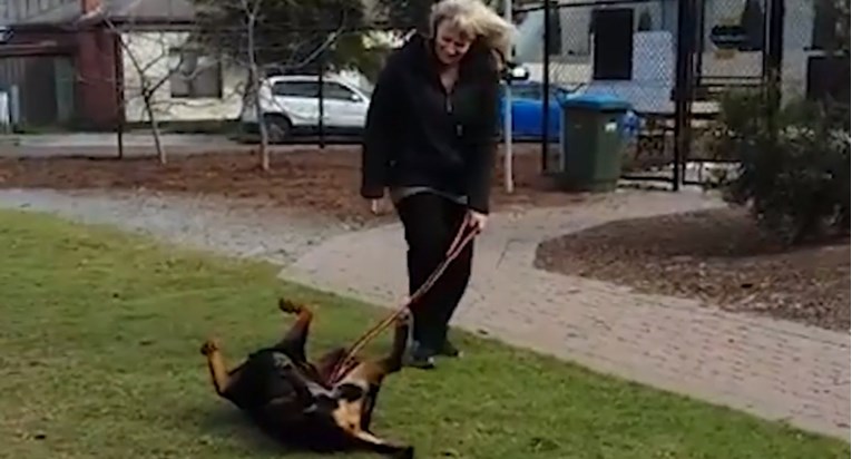 VIDEO Ovaj pas ne želi ići iz parka i protestira na urnebesan način