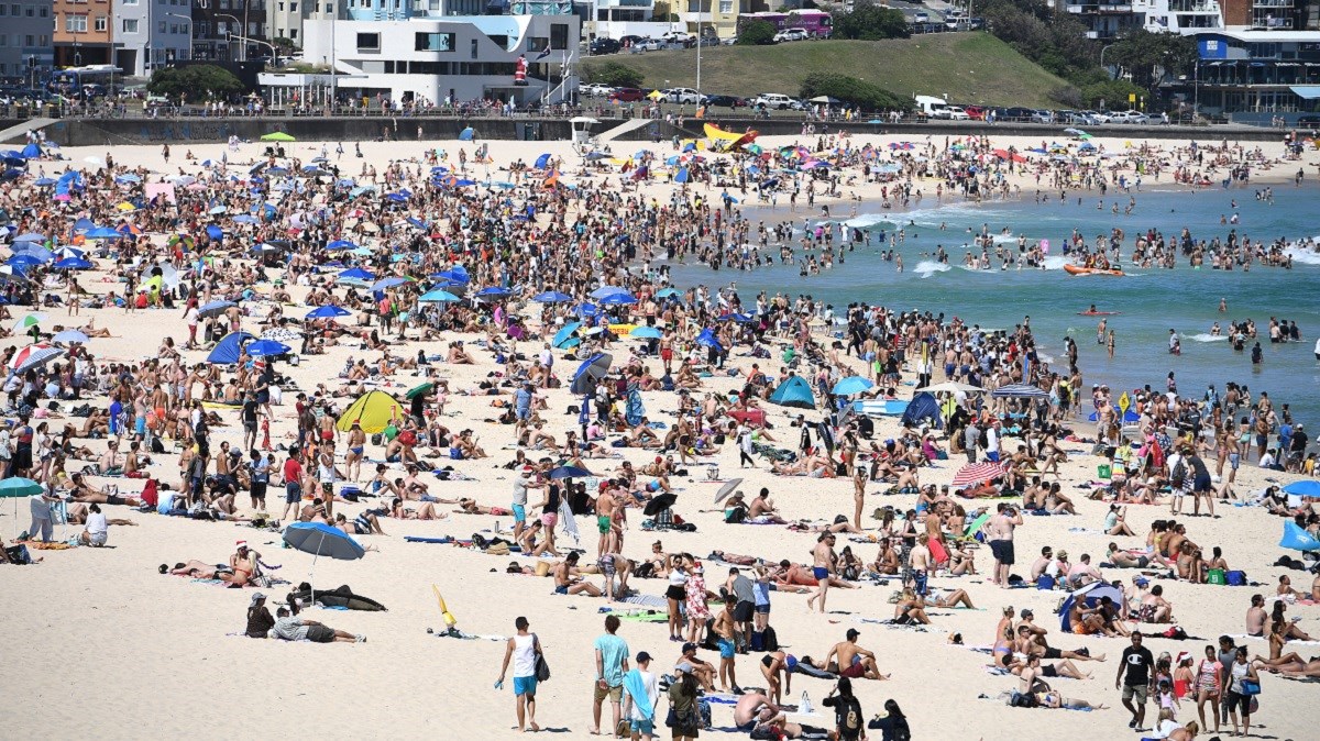 Australija se prži na 50°C, uginulo više od milijun riba. A bit će još gore