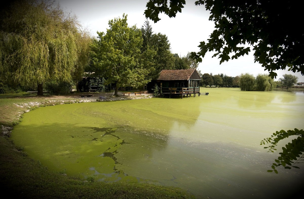 U ribnjaku kod Požege pronađeno muško tijelo