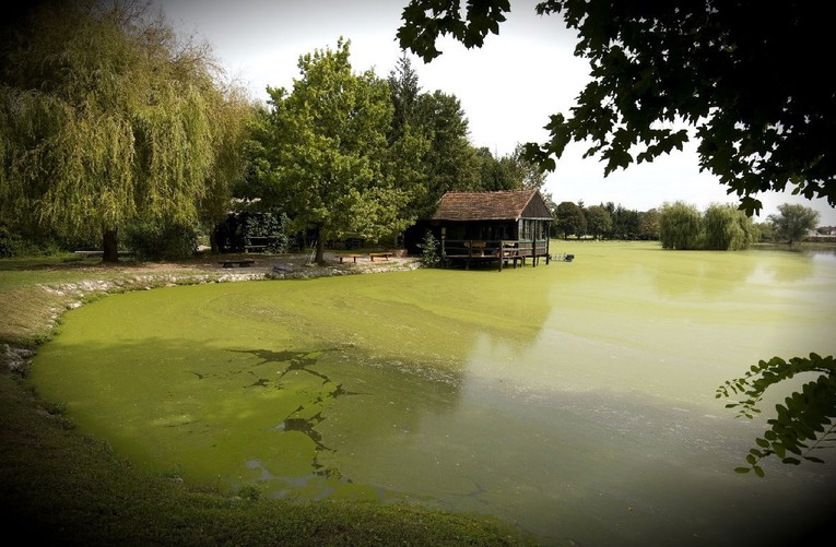 U ribnjaku kod Požege pronađeno muško tijelo